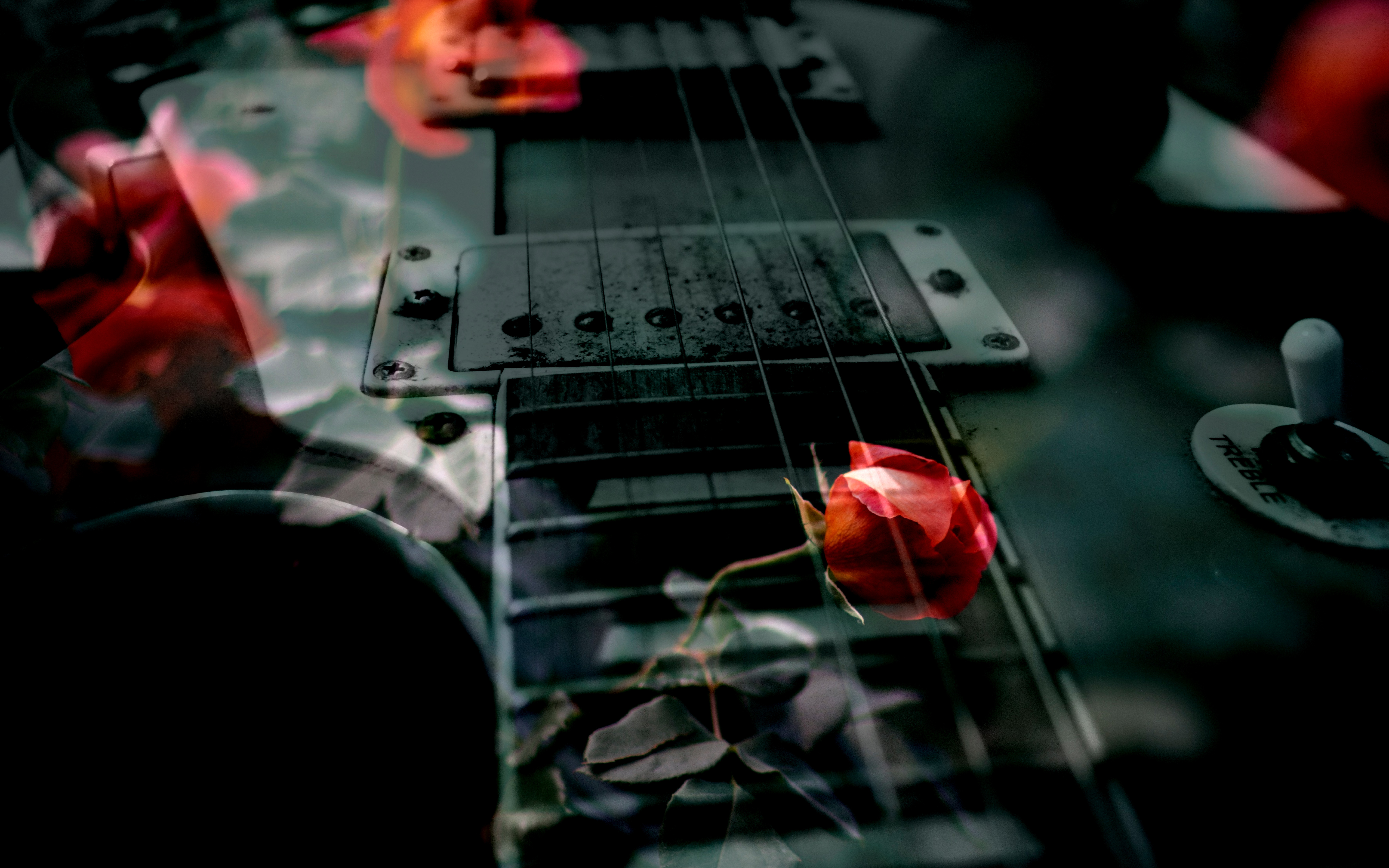 Background image: A merged image of a guitar and a bush of roses.